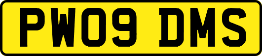 PW09DMS