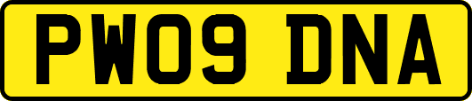 PW09DNA