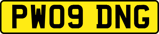 PW09DNG
