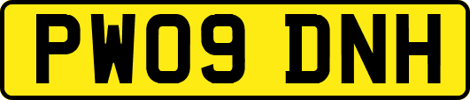 PW09DNH