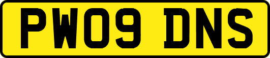 PW09DNS