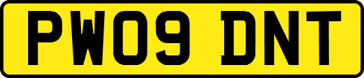 PW09DNT