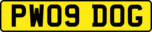 PW09DOG