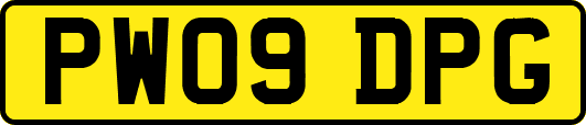 PW09DPG
