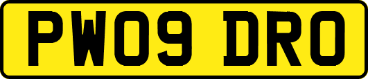 PW09DRO