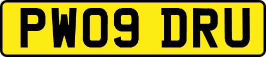 PW09DRU