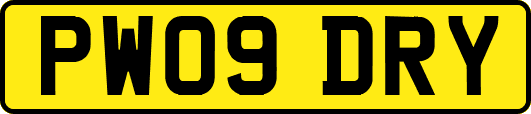 PW09DRY