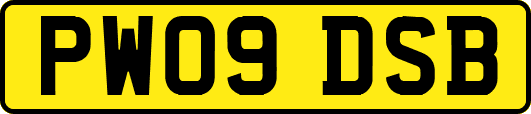 PW09DSB
