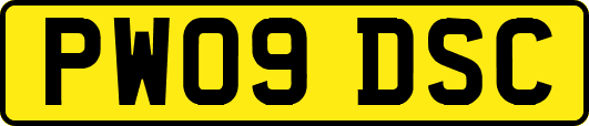 PW09DSC