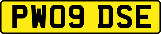PW09DSE