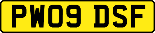 PW09DSF