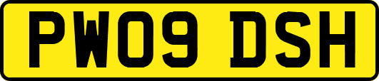 PW09DSH