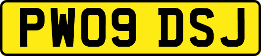 PW09DSJ