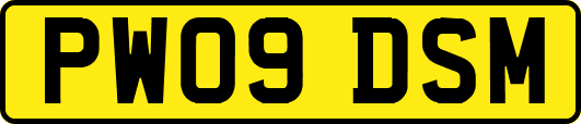 PW09DSM