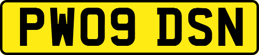 PW09DSN