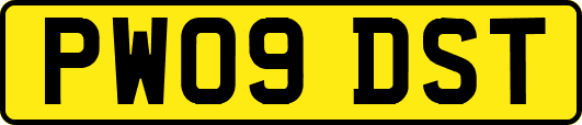 PW09DST