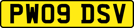 PW09DSV