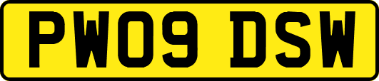 PW09DSW