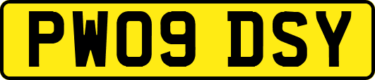 PW09DSY