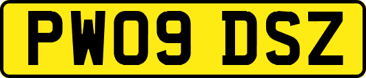 PW09DSZ