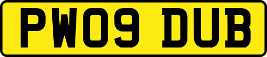 PW09DUB