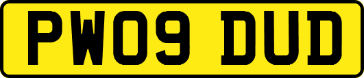 PW09DUD