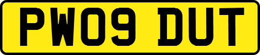 PW09DUT