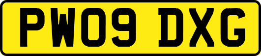 PW09DXG