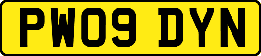 PW09DYN