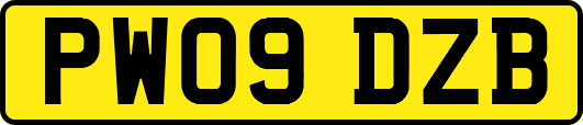 PW09DZB