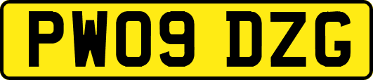 PW09DZG