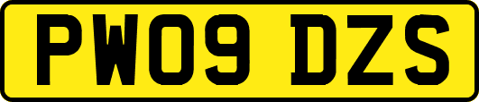 PW09DZS