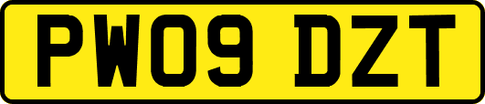 PW09DZT