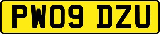 PW09DZU
