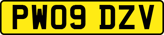PW09DZV