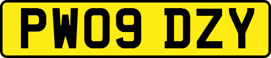 PW09DZY