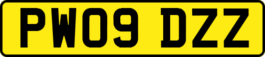 PW09DZZ