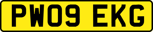 PW09EKG