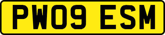 PW09ESM