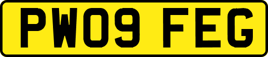 PW09FEG