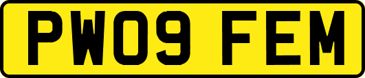 PW09FEM