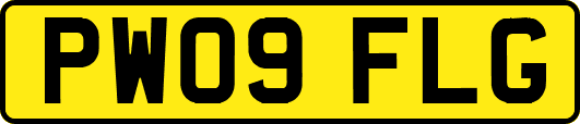 PW09FLG