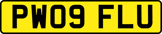 PW09FLU