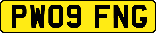 PW09FNG