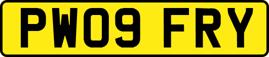 PW09FRY