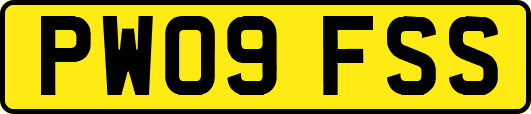 PW09FSS