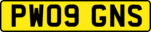 PW09GNS