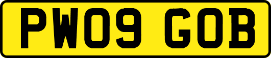 PW09GOB