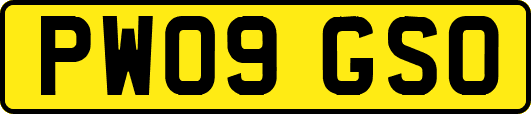 PW09GSO