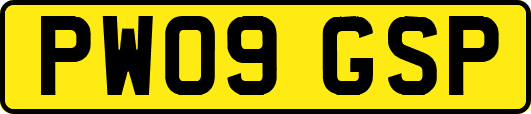 PW09GSP
